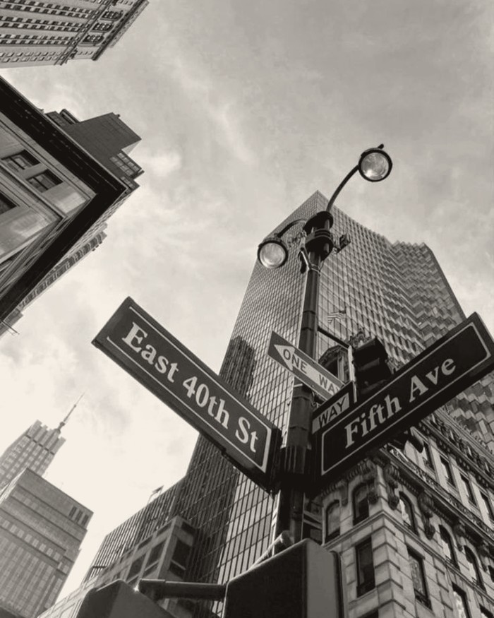 Fifth Avenue street signs, looking up